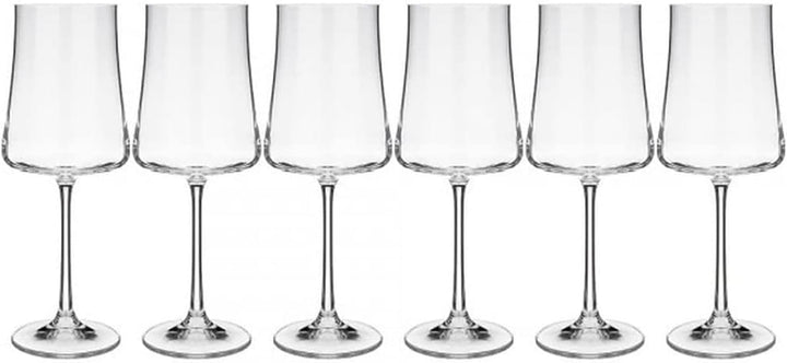  Champagne Glassware